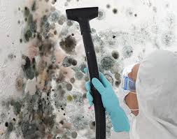 Why You Should Choose Our Mold Remediation Services in Dilworthtown, PA